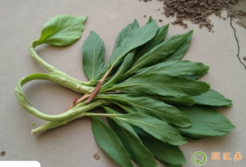 �����׿��Գ��R�m�ˆ�