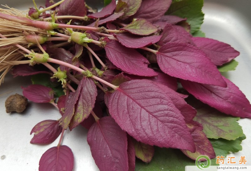 �����׿��ԳԼt�{�ˆ�