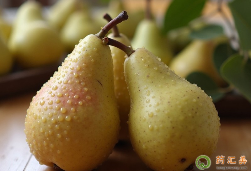 �����׿��ԳԎ젖�����