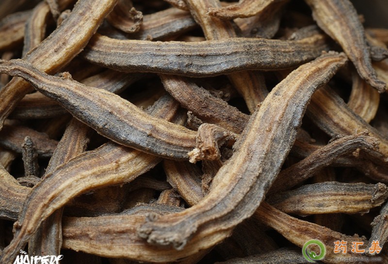 ������Ҫ��ʲô��