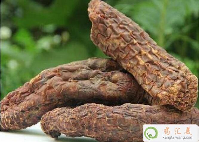 補腎吃肉蓯蓉好 補腎吃肉蓯蓉好