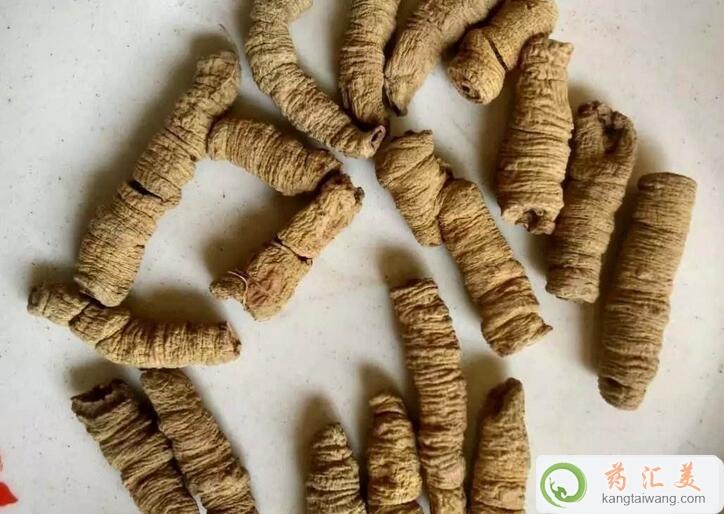 補腎吃巴戟天好 補腎吃巴戟天好