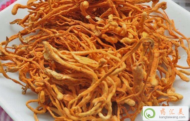 北蟲(chóng)草的食用方法介紹 北蟲(chóng)草的食用方法介紹