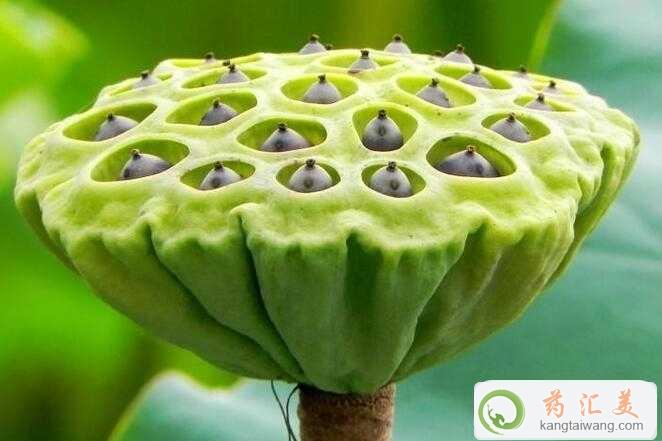 ׻֏(f)ܳɏ